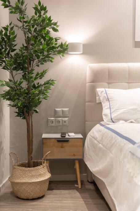A11 Pristine & Comfy Studio Near Plaka & Parthenon Афины Экстерьер фото